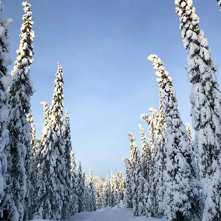 Architect-designed Log By Myllavannet *